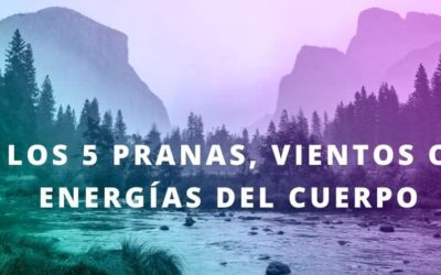 Los 5 pranas, Vayus , vientos o energías del cuerpo