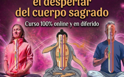 TSA-LUNG: Externo, interno y secreto
